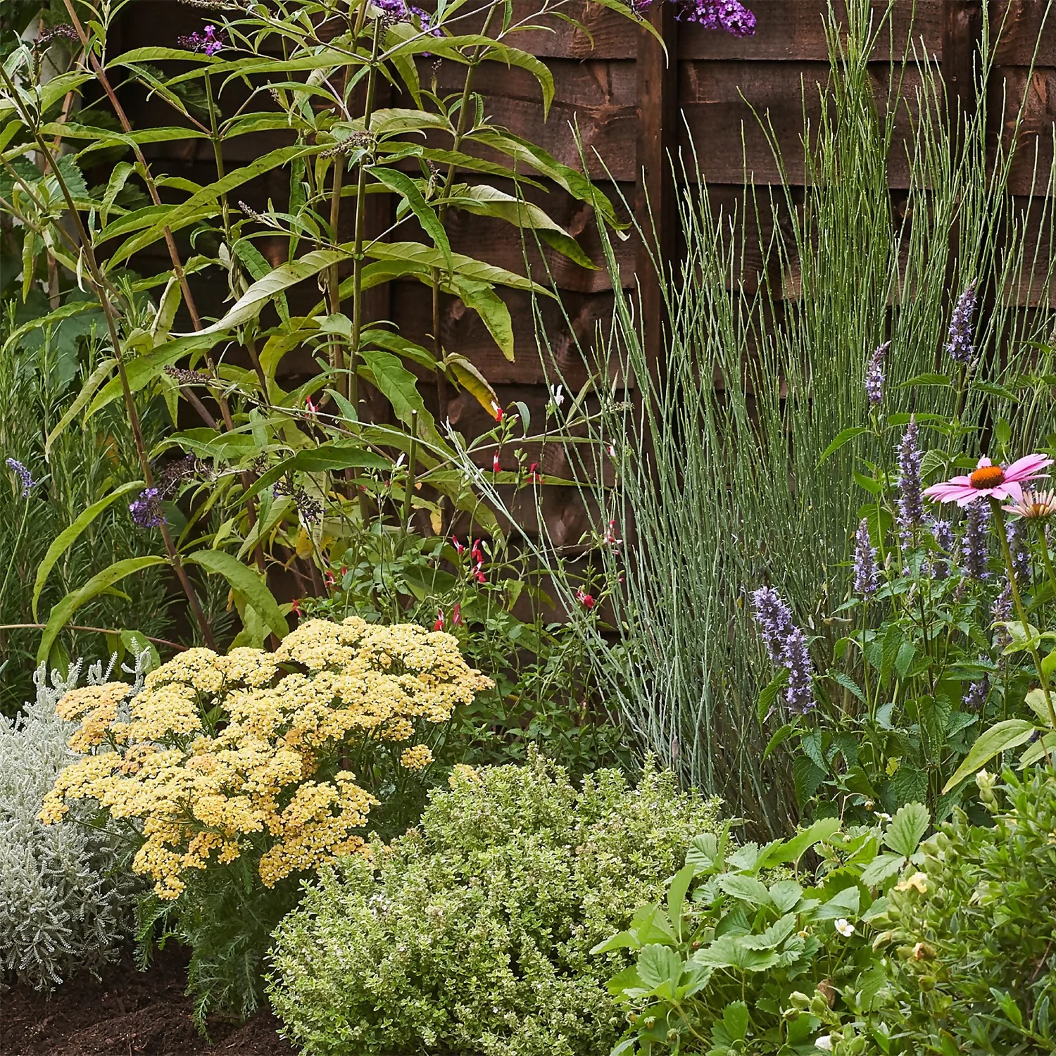 Sensory Border Collection - 3m X 60cm - Image 5