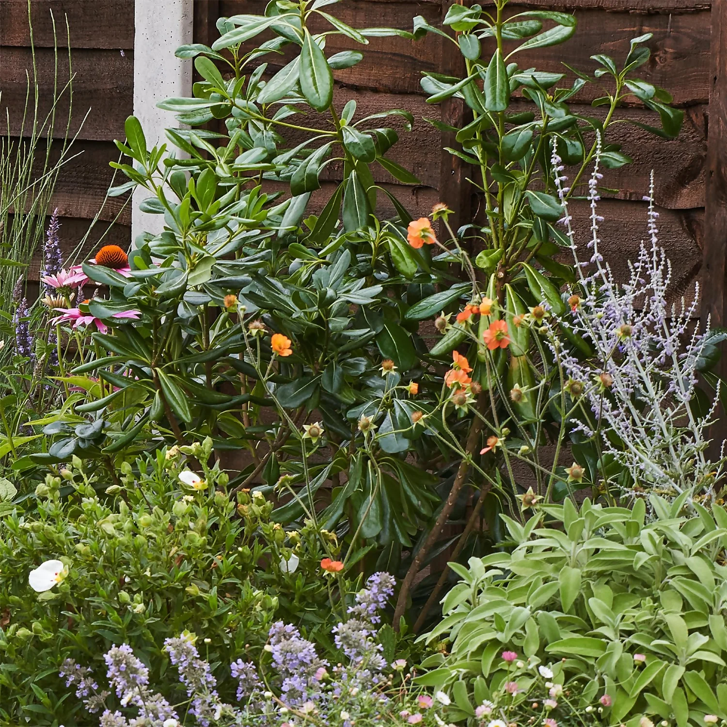 Sensory Border Collection - 7m X 60cm - Image 6