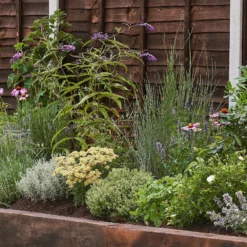 Sensory Border Collection - 6m X 60cm