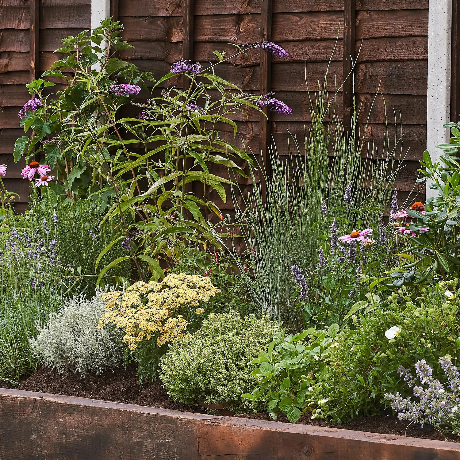 Sensory Border Collection - 10m X 60cm