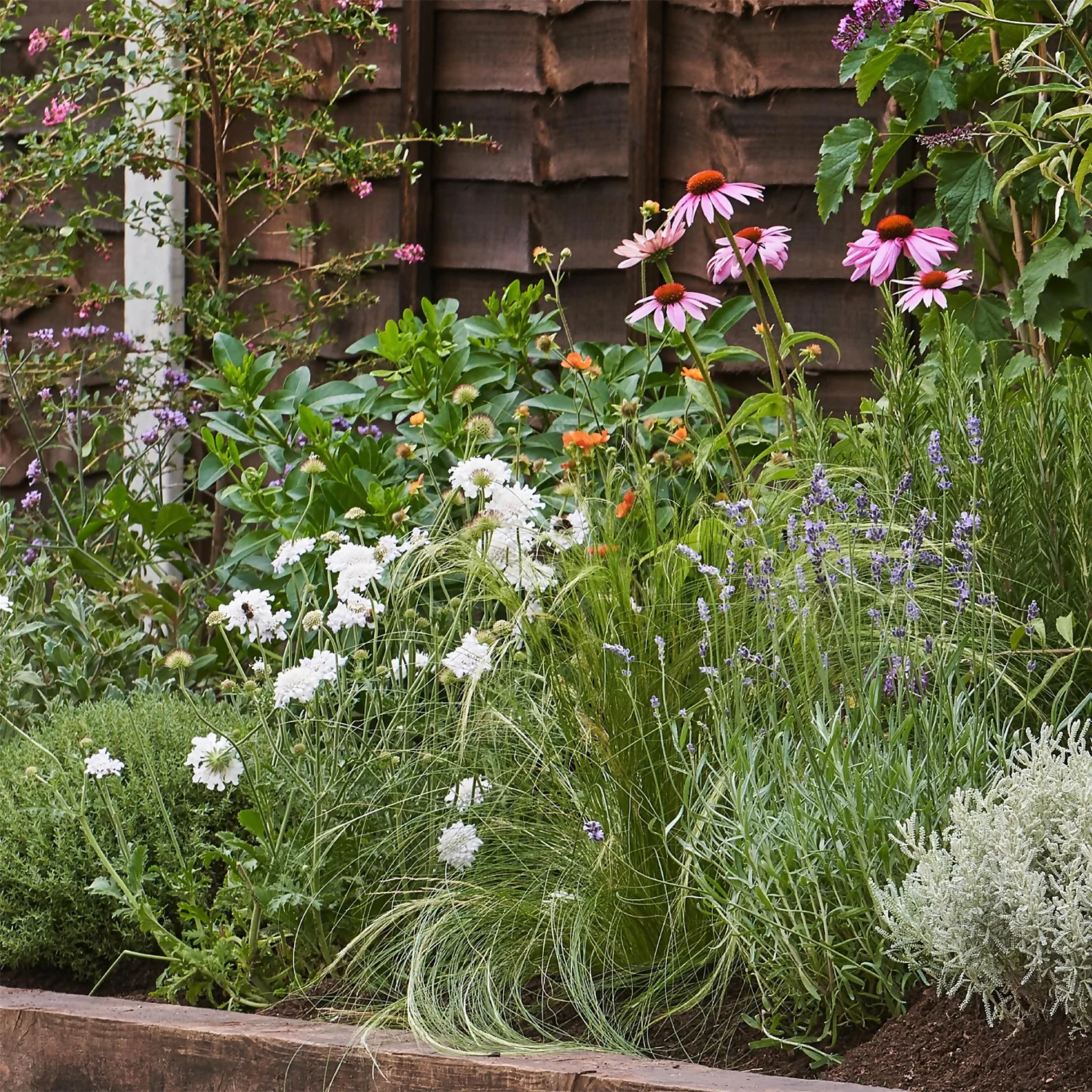 Sensory Border Collection - 3m X 90cm - Image 4