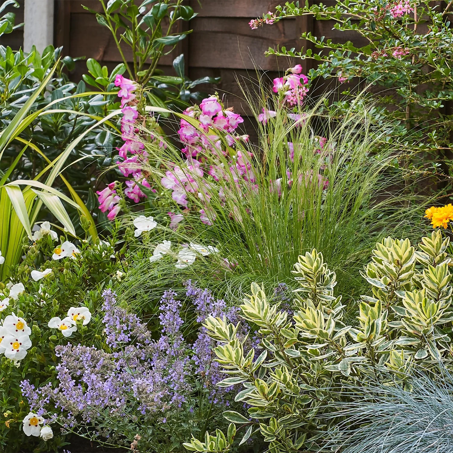 Sunny Border Collection - 7m X 60cm - Image 5