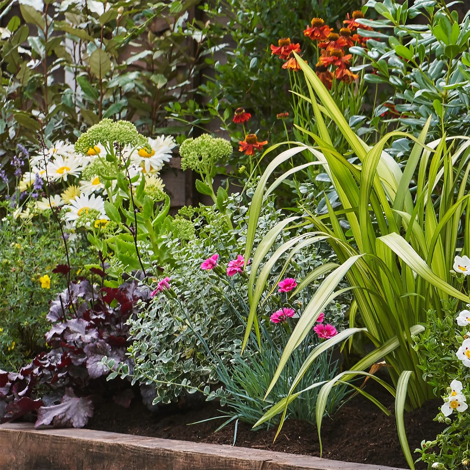 Sunny Border Collection - 9m X 60cm - Image 4