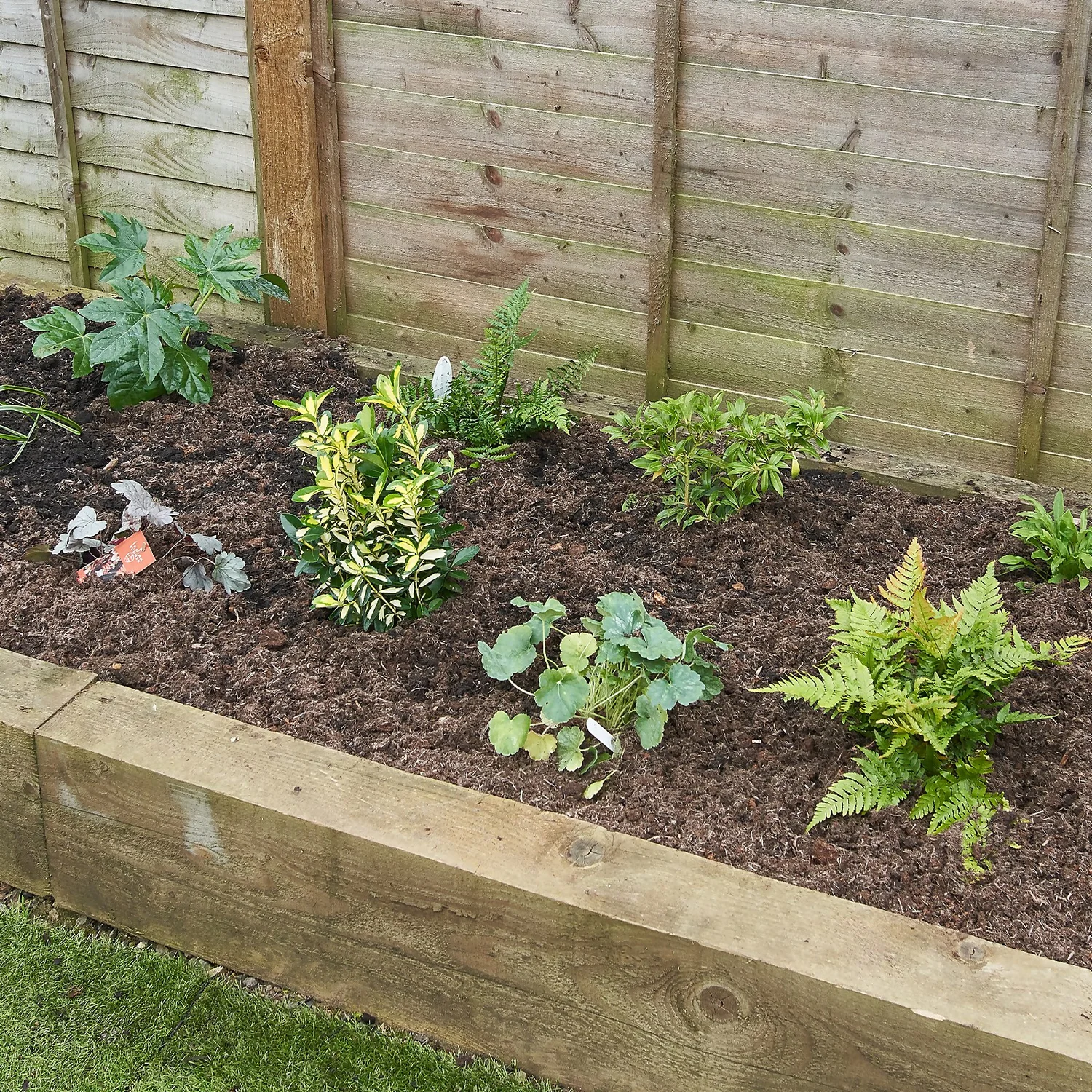 Shady Border Collection - 3m X 60cm - Image 3