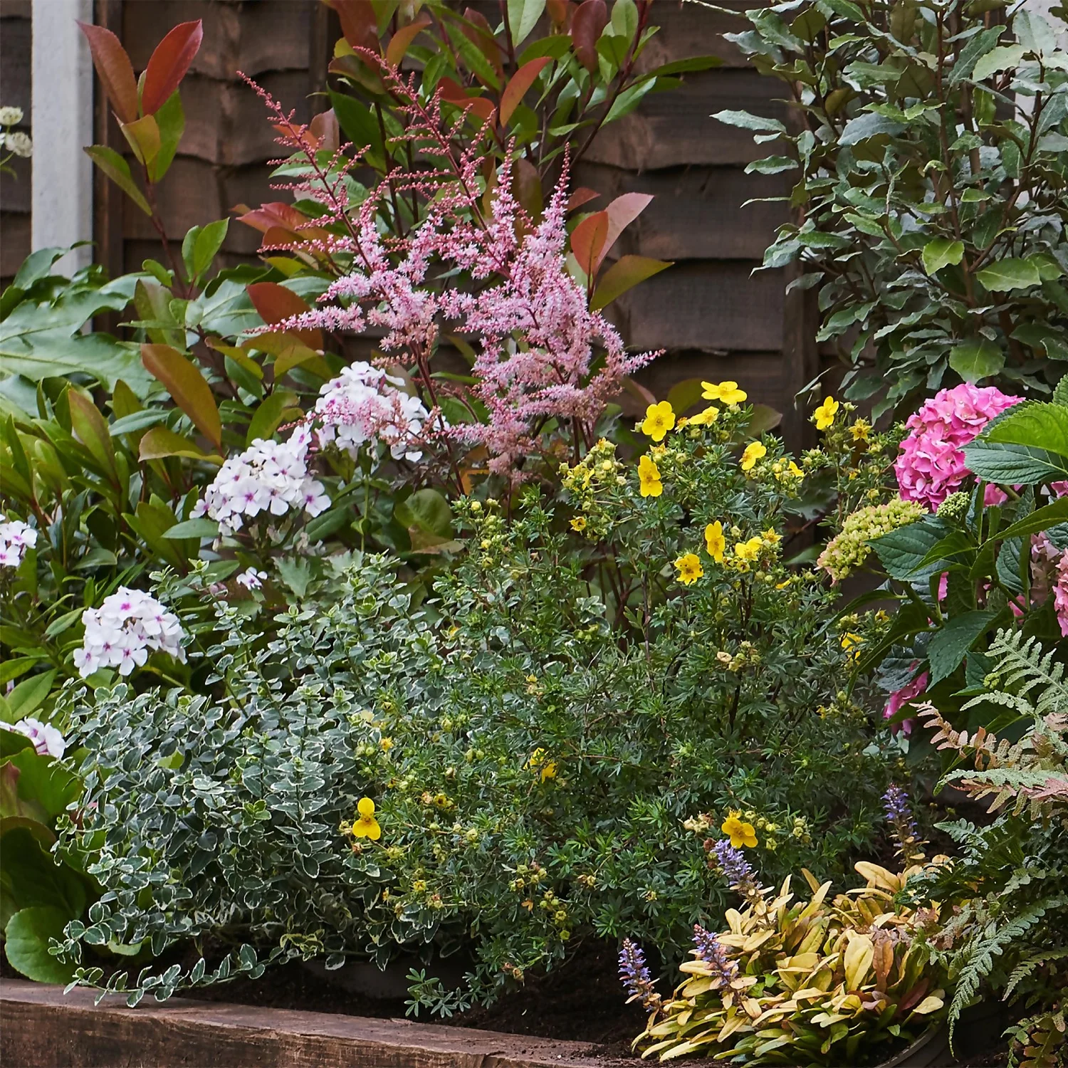 Shady Border Collection - 7m X 60cm - Image 4