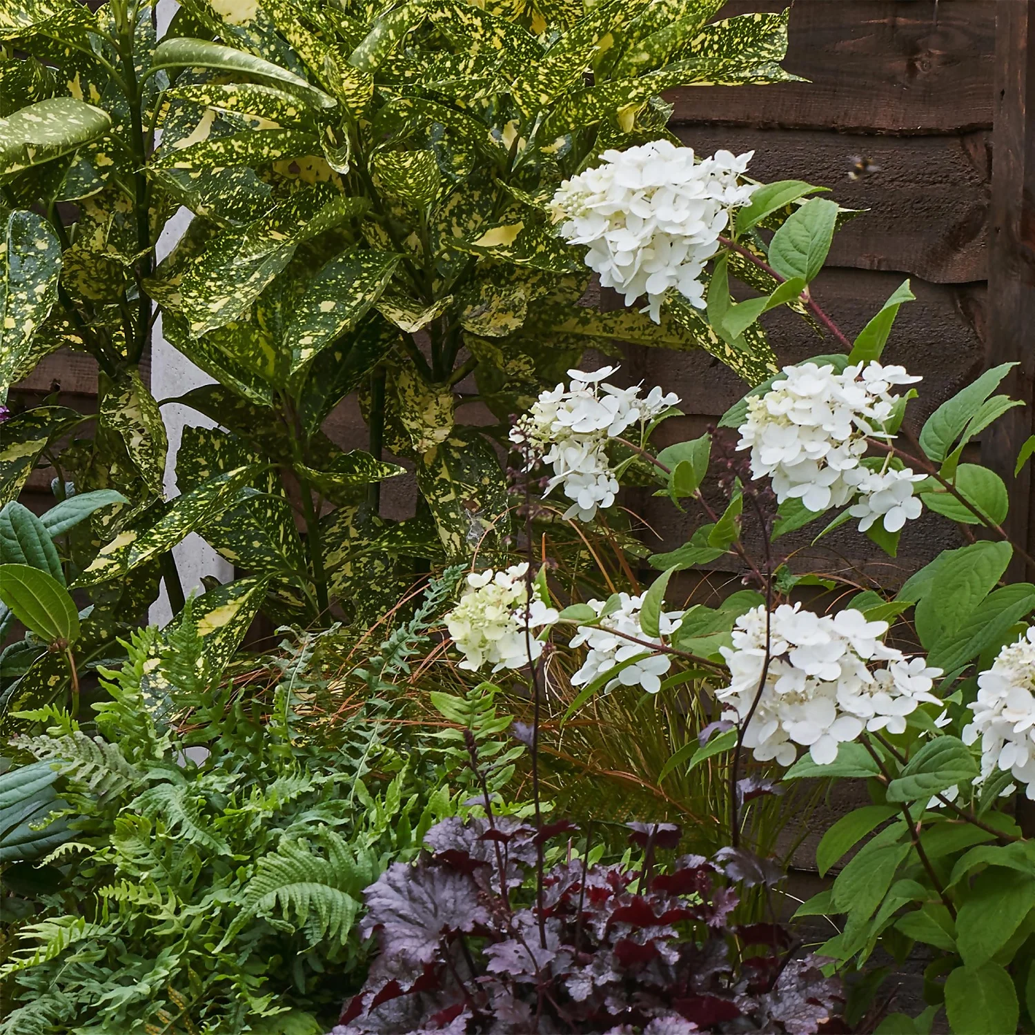 Shady Border Collection - 7m X 60cm - Image 6