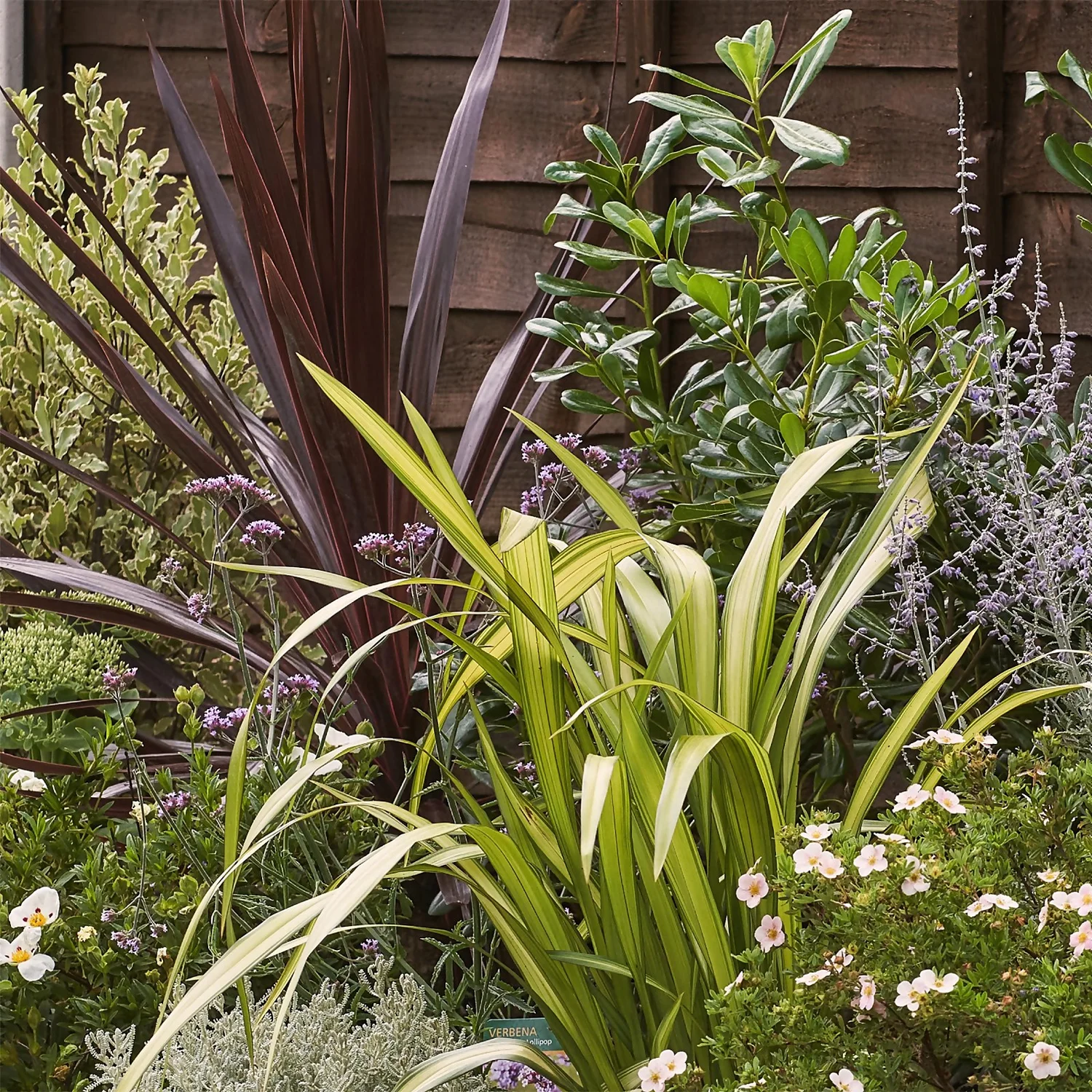 Mediterranean Border Collection - 5m X 60cm - Image 5