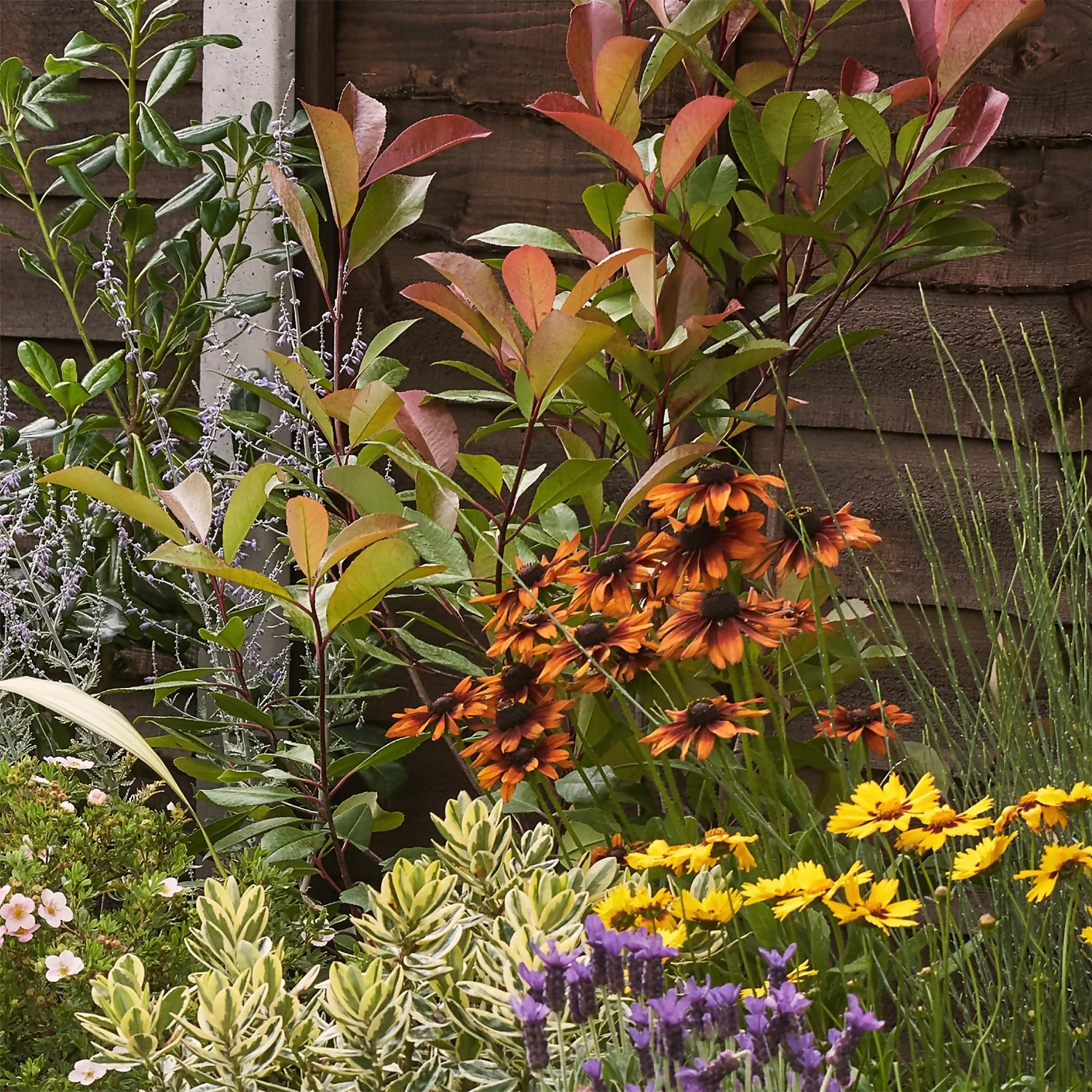 Mediterranean Border Collection - 8m X 90cm - Image 6