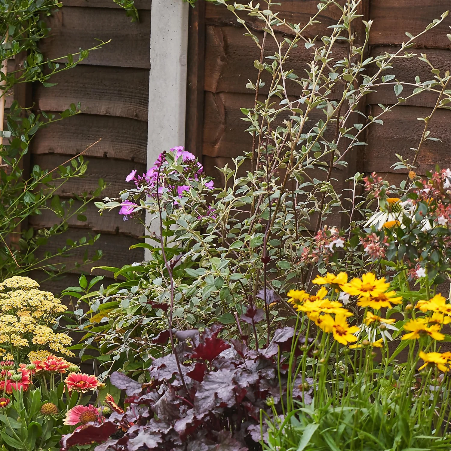 Bee And Butterfly Border Collection - 3m X 60cm - Image 6