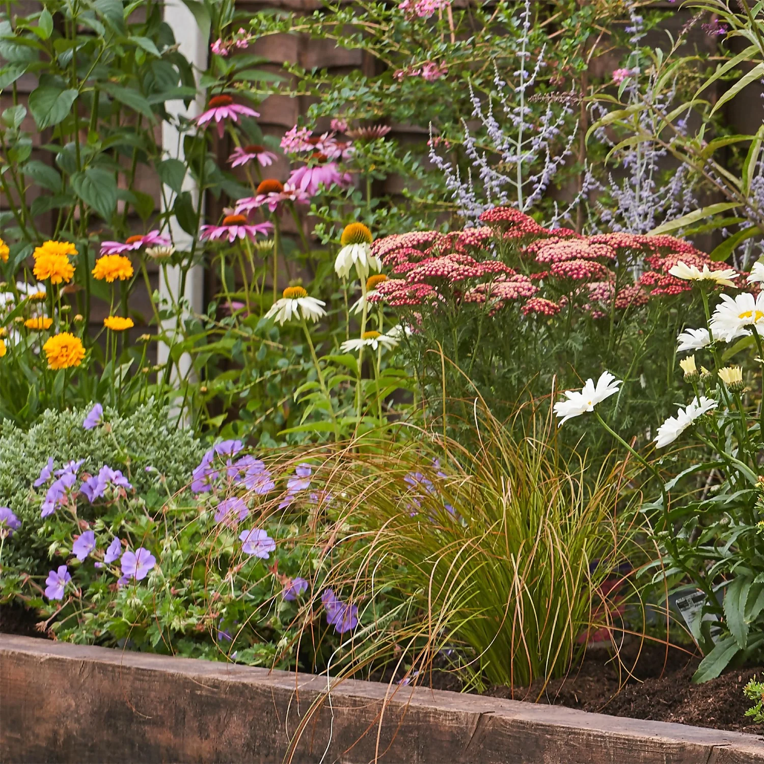 Bee And Butterfly Border Collection - 10m X 60cm - Image 4