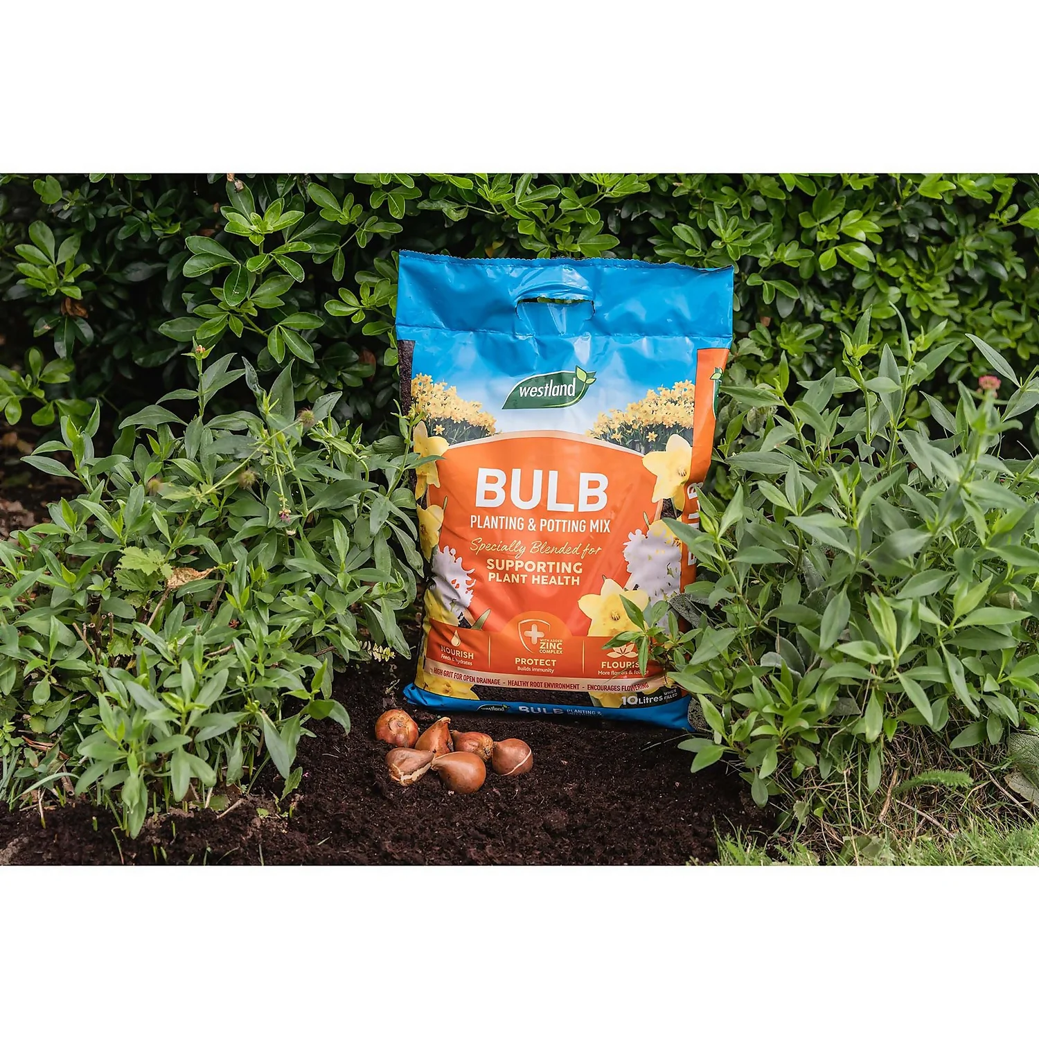 Westland Bulb Planting Compost - 20L - Image 3
