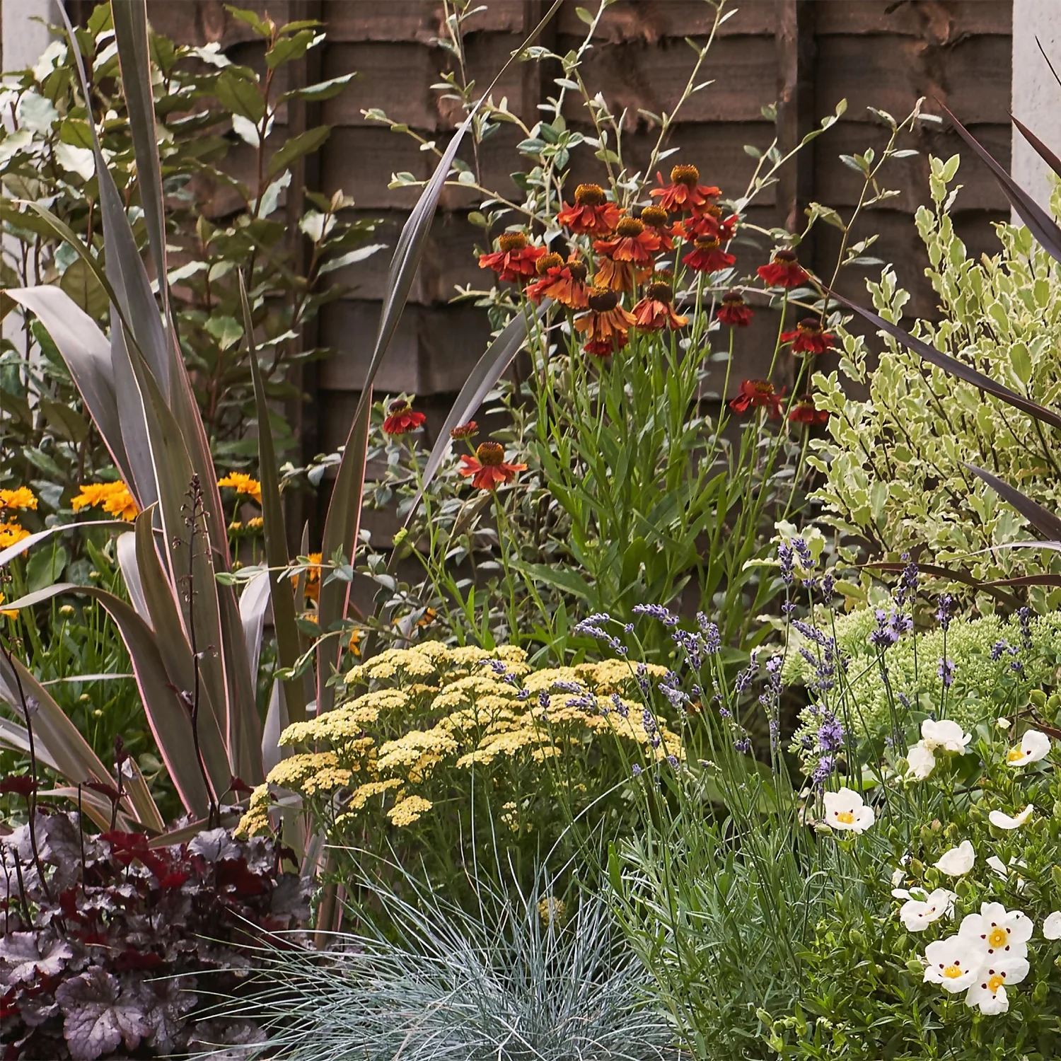 Mediterranean Border 8m X 120cm - Image 4