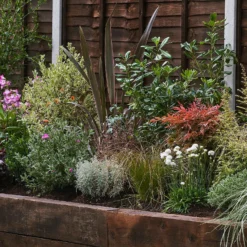 Garden On A Roll Eco Border - 10m X 40cm