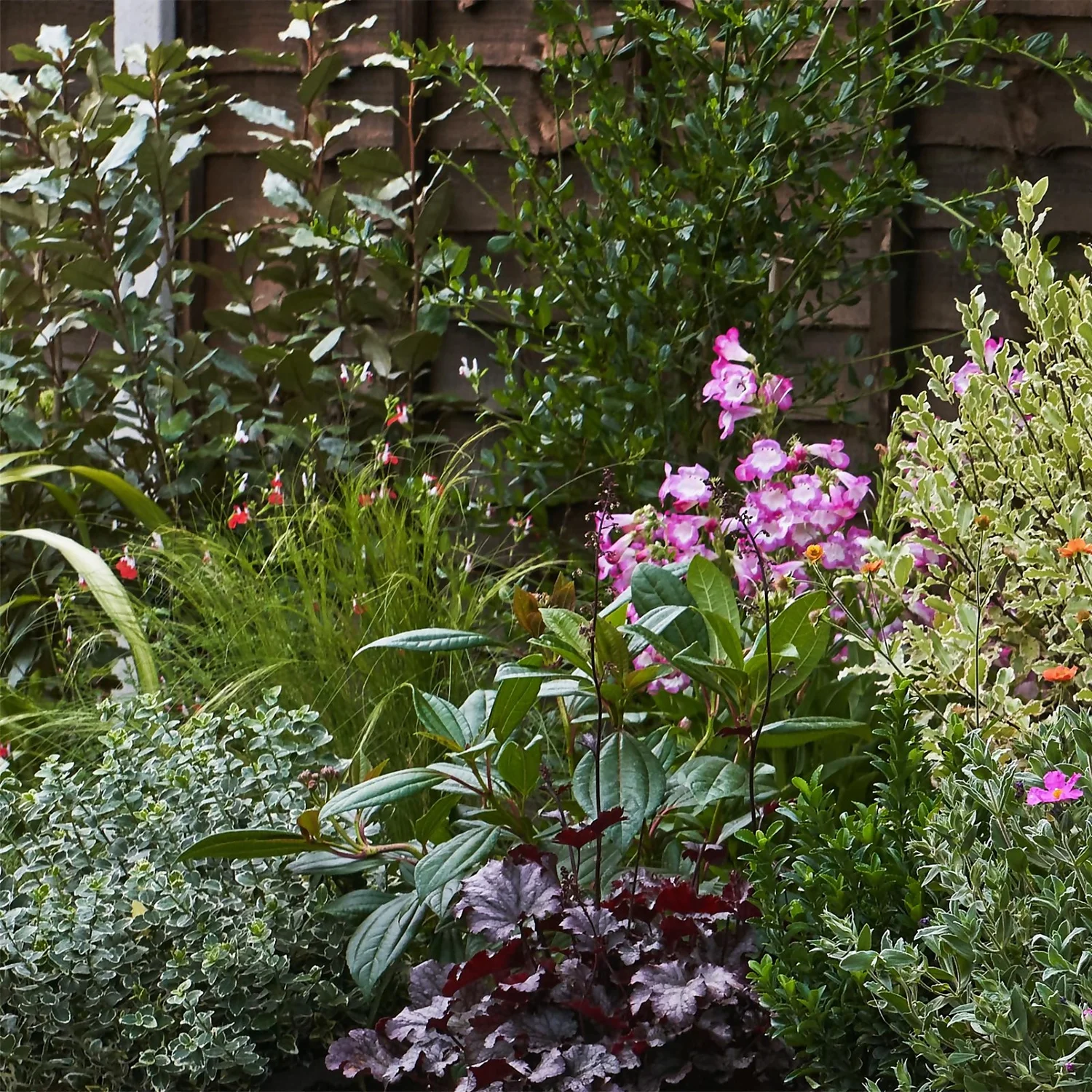 Garden On A Roll Eco Border - 3m X 60cm - Image 4