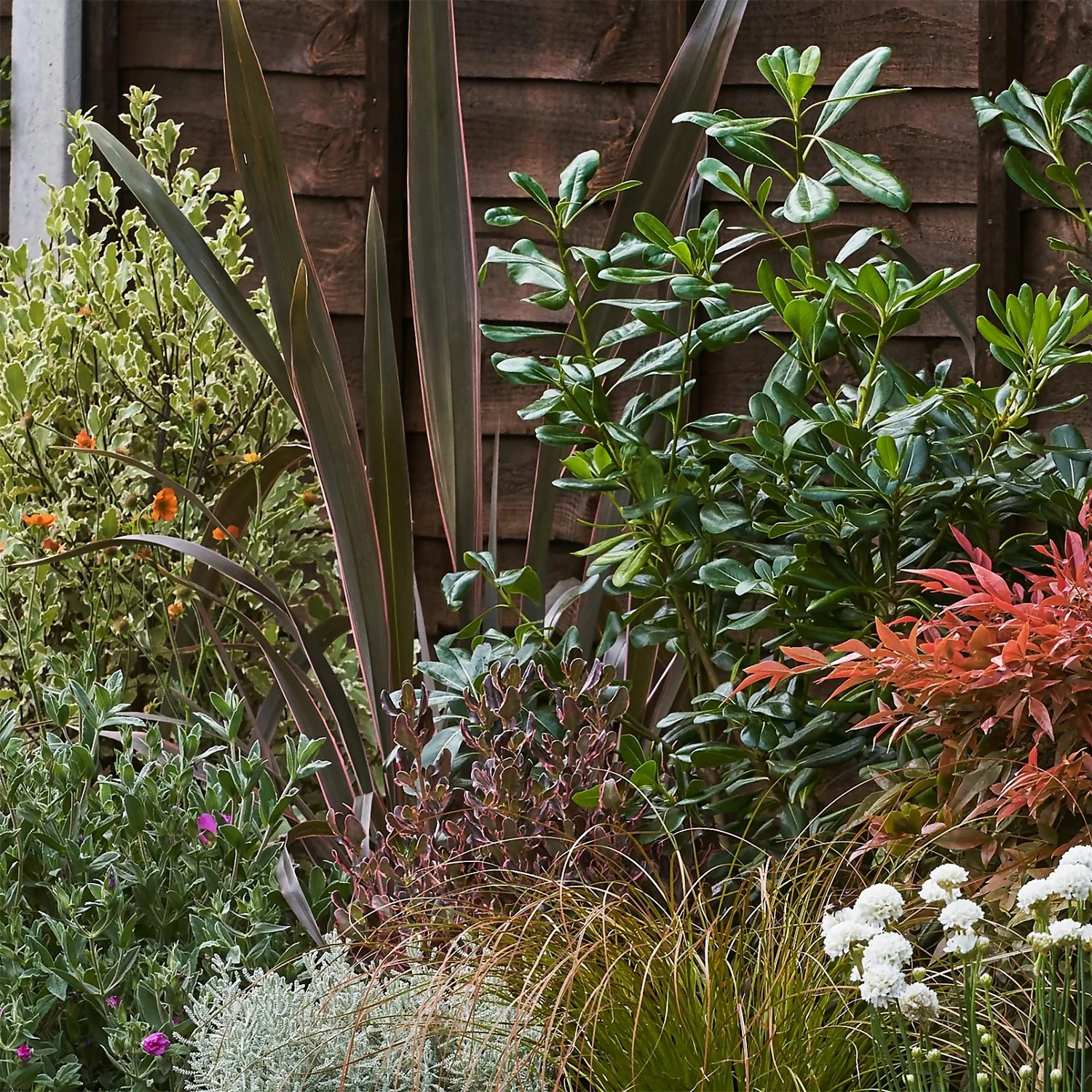 Garden On A Roll Eco Border - 3m X 60cm - Image 5