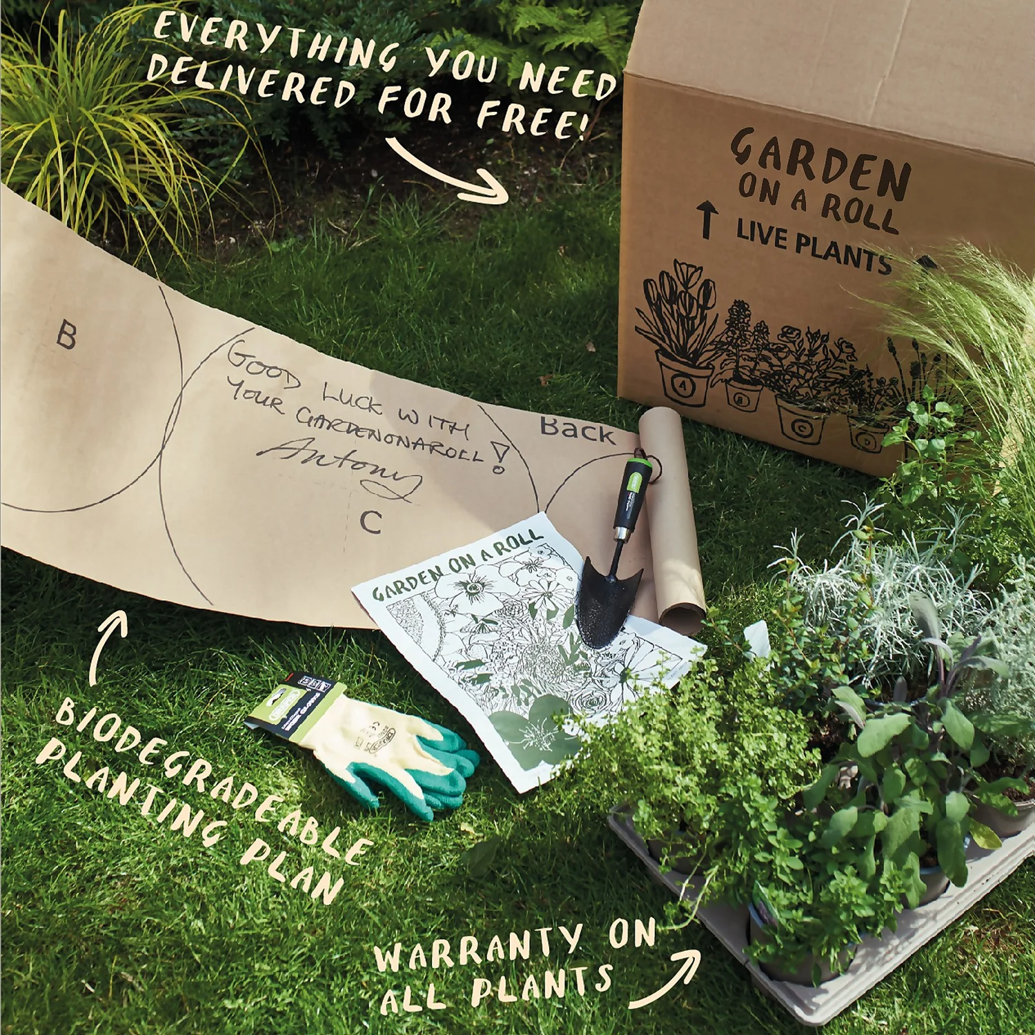 Garden On A Roll Eco Border - 10m X 90cm - Image 7