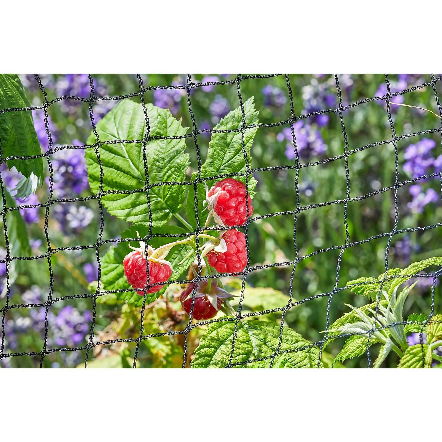 25mm Black Fruit Netting - Image 2