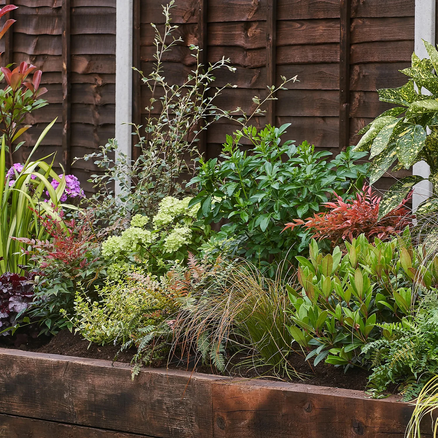 Evergreen Border 3m X 40cm