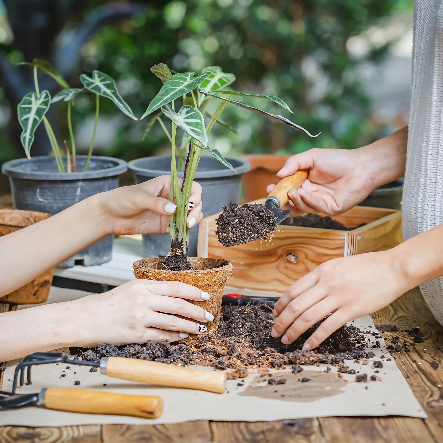 Coco & Coir Round Fibre Pot - 20cm - Image 3