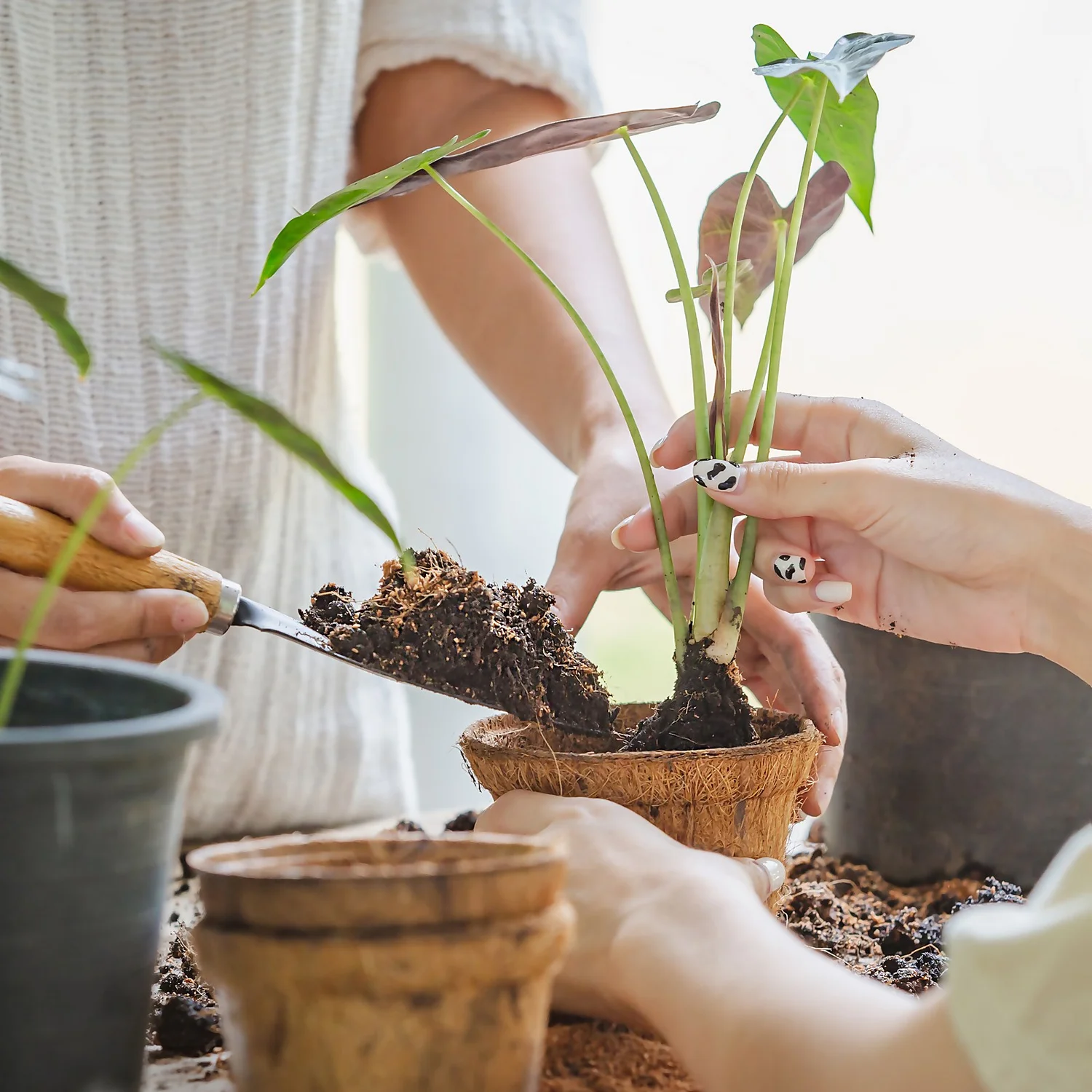 Coco & Coir Round Fibre Pot - 20cm - Image 2