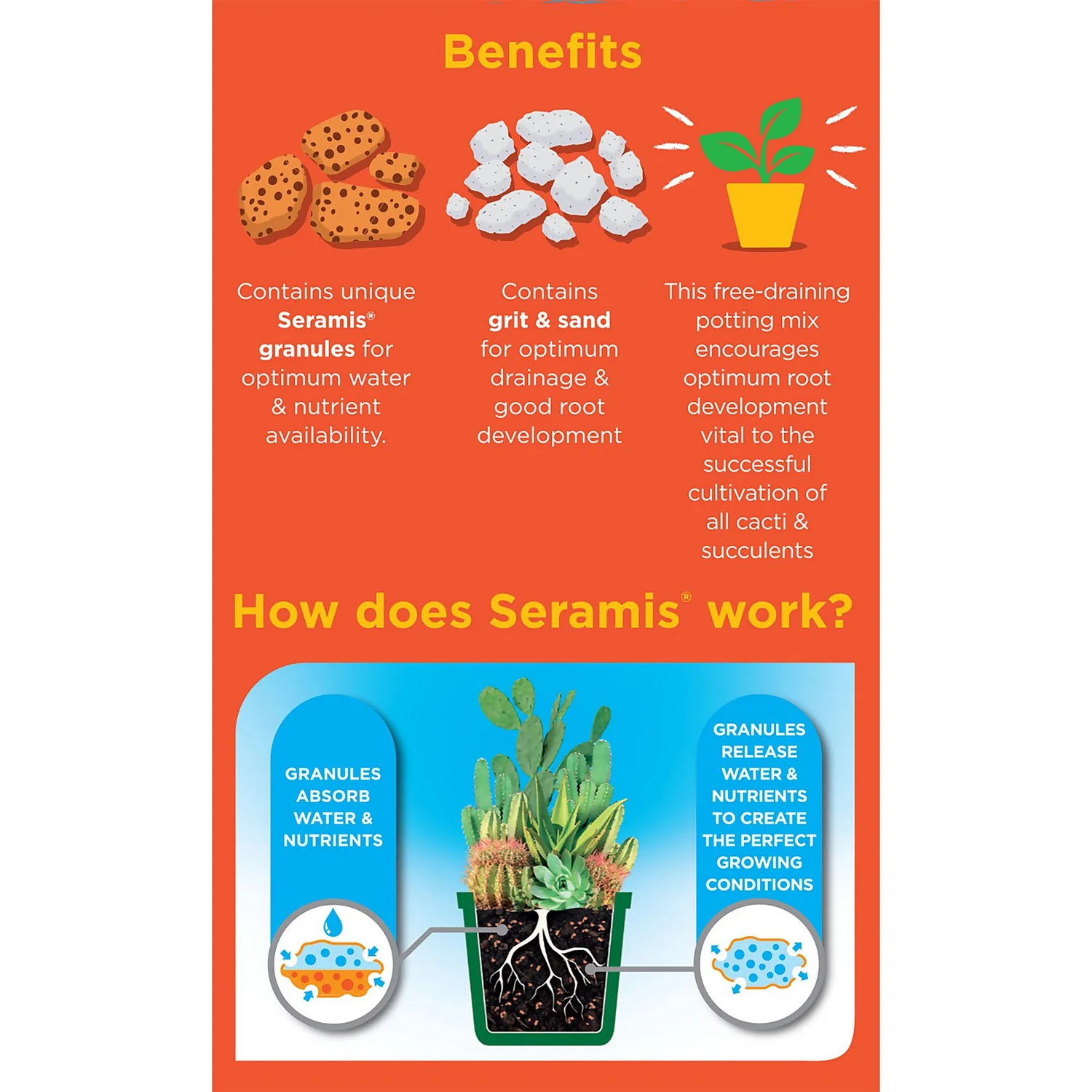 Westland Cacti & Succulent Potting Mix Peat Free 4L - Image 2